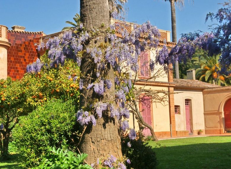 Замок Château de la Moutte