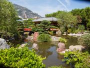 Jardin Japonais