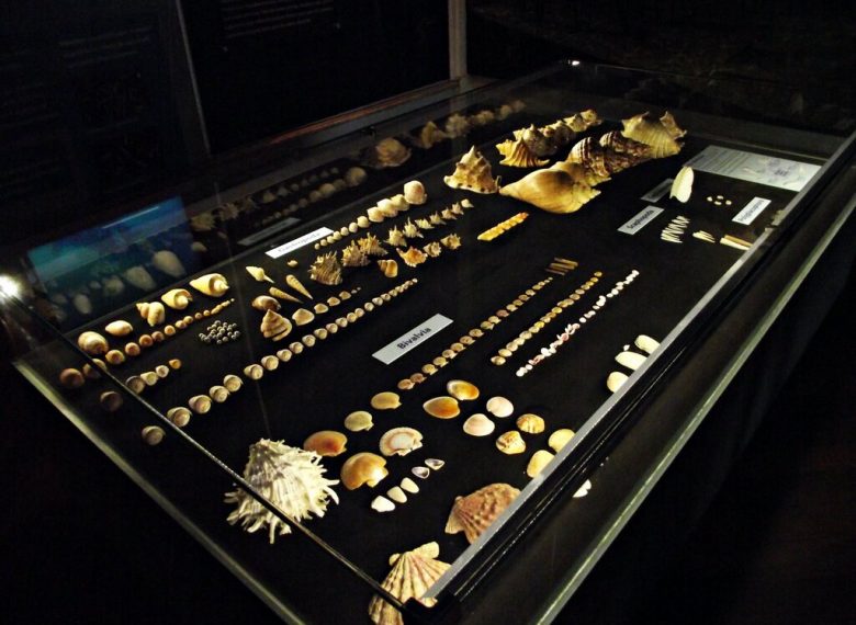 Musée des coquillages