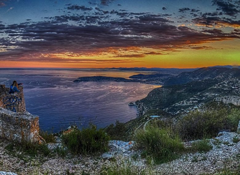 "Голова собаки"